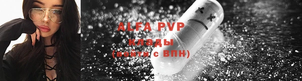 apvp Верея