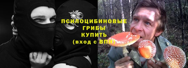 apvp Верея