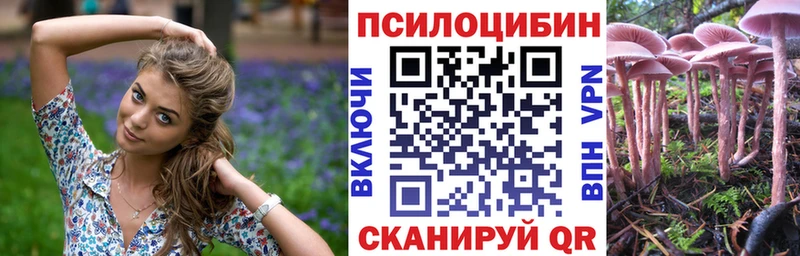 Псилоцибиновые грибы Magic Shrooms купить закладку Заозёрск